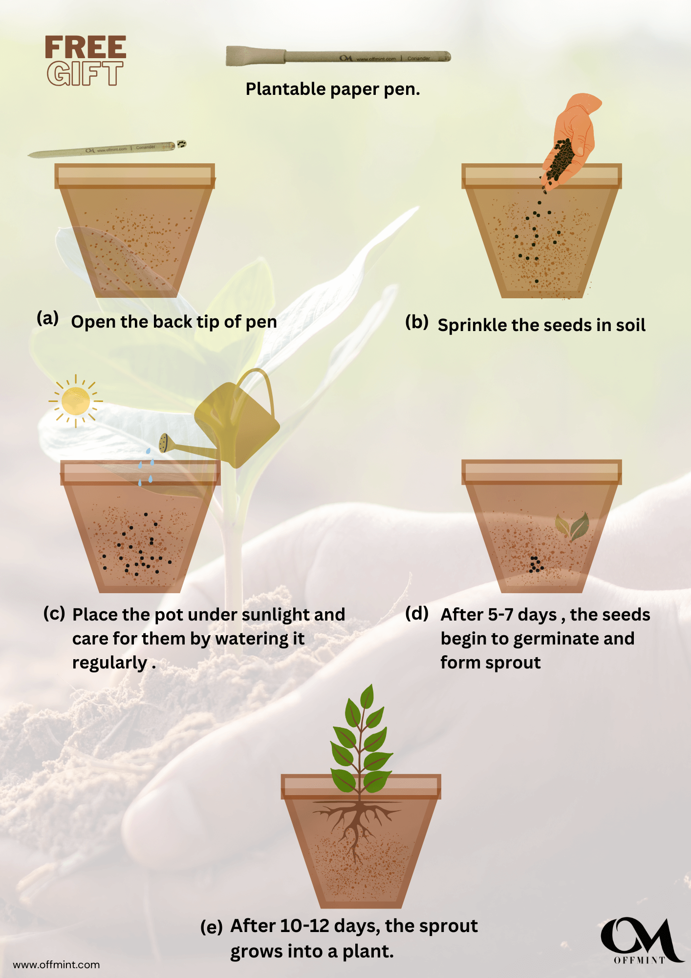 5 Pocket Men's Cargo Grey By Offmint