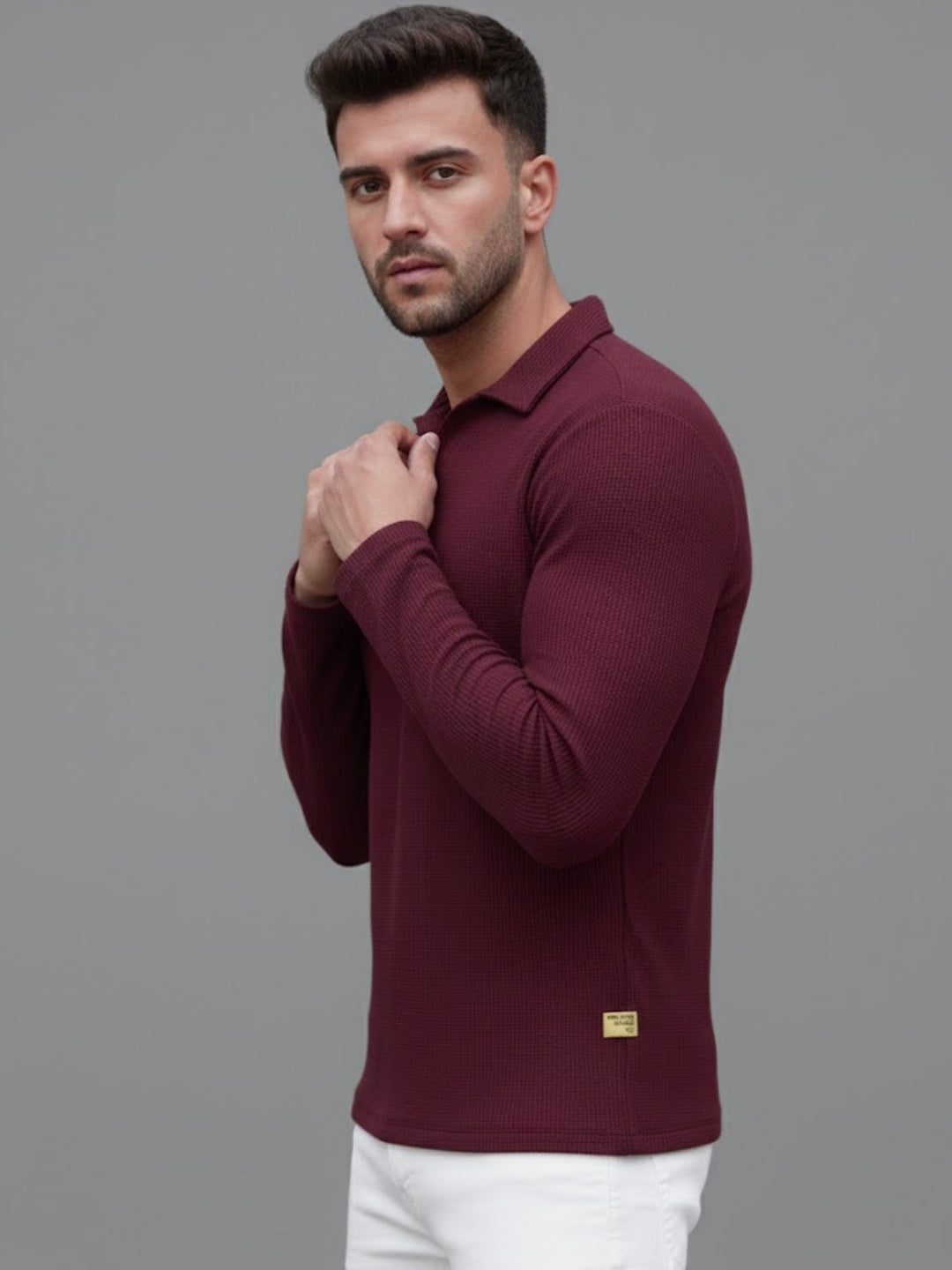 Men Solid Full Sleeves Casual Polo Wine T-Shirt